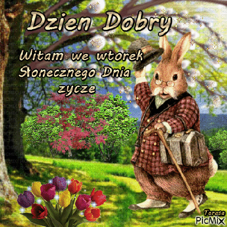Zając wita we wtorek i słonecznego dnia życzy